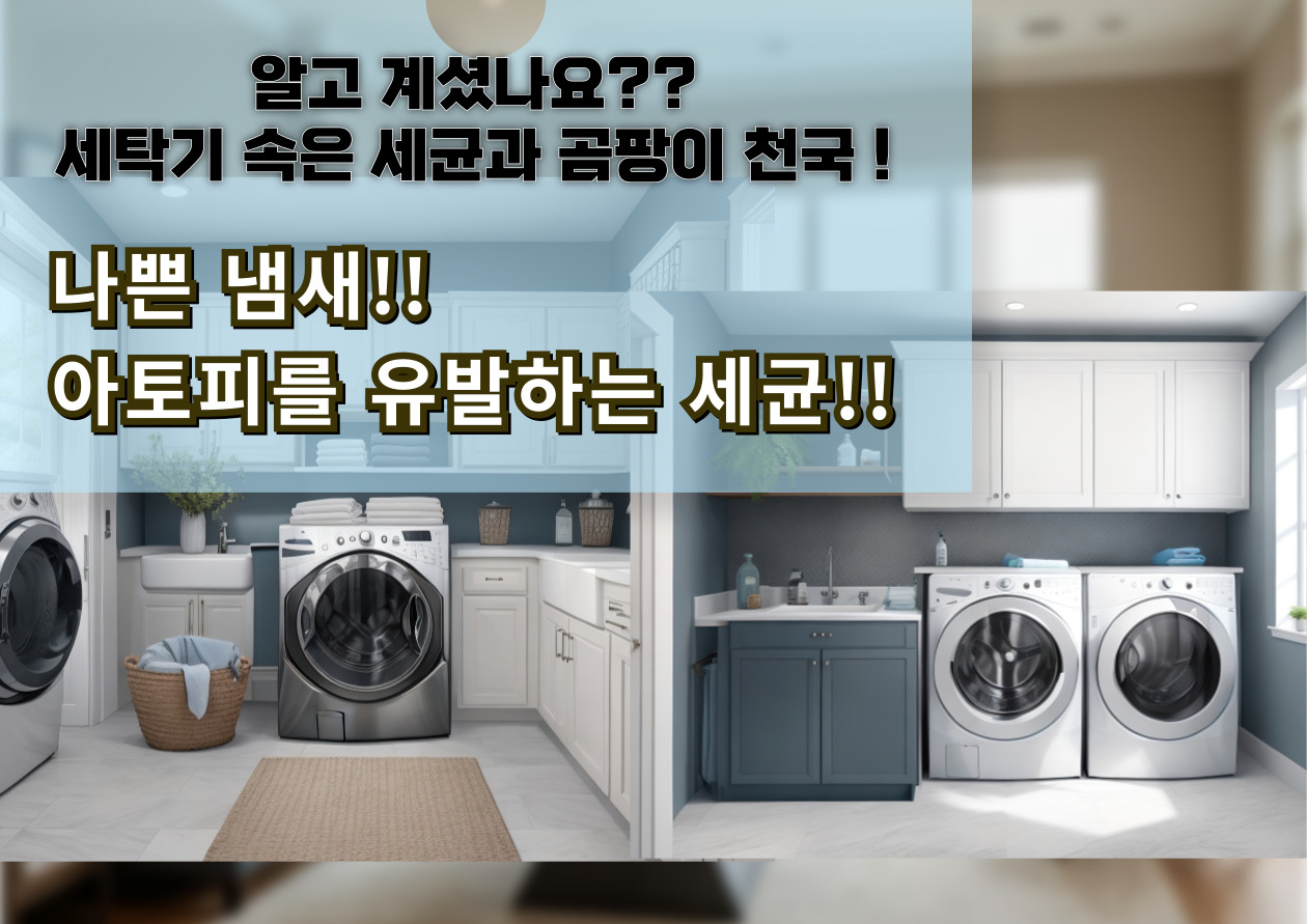 세탁기청소업체